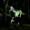 unicorn_wolf2.jpg