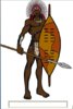 Black Kingdoms 2 - Suba-Warrior Chief.jpg